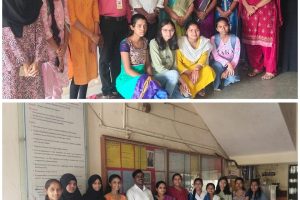 Wallpaper Display by Sociology Dept. on 19th July 2025 